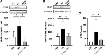 Effect of troxerutin in counteracting hyperglycemia-induced VEGF upregulation in endothelial cells: a new option to target early stages of diabetic retinopathy?